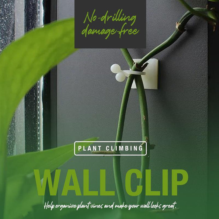 🌳Plant Climbing Wall Clip