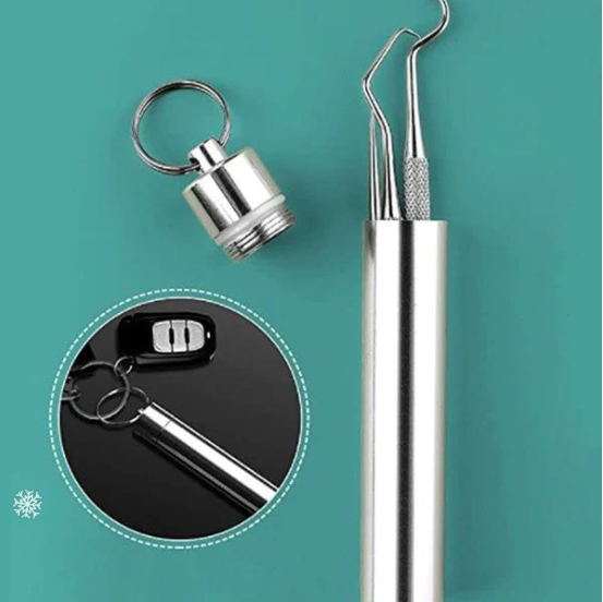 Stainless Steel Toothpick (🔥7Pcs/Set)