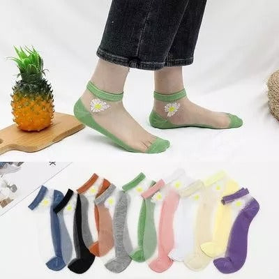 Translucent Daisy Socks(5Pairs/Pack)